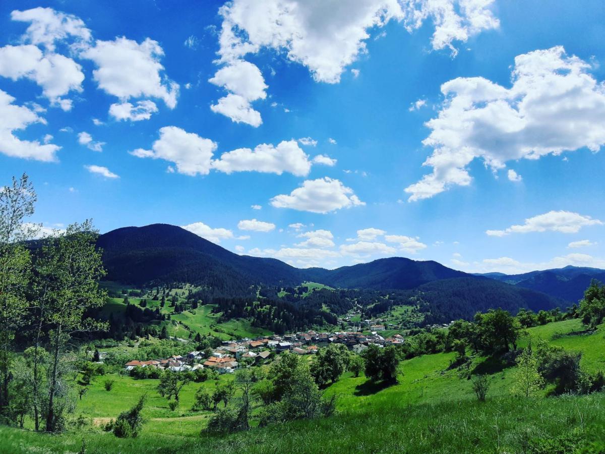 Къща За Гости Романс Yagodina Bagian luar foto