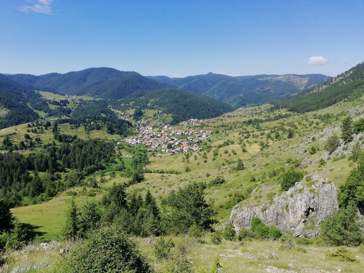 Къща За Гости Романс Yagodina Bagian luar foto